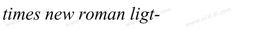 times new roman ligt字体转换 times new roman ligt字体转换
